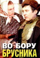 dvd диск "Во бору брусника"