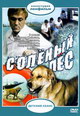 dvd диск "Солёный пёс"