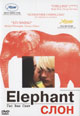 dvd диск "Слон"