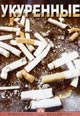 dvd диск "Укуренные"