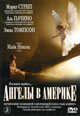 dvd диск с фильмом Ангелы в Америке (2 dvd)