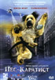 dvd фильм "Пес-каратист"