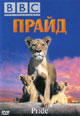 dvd диск "Прайд"