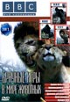dvd диск "Брачные игры в мире животных"