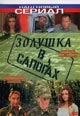 dvd диск "Золушка в сапогах"